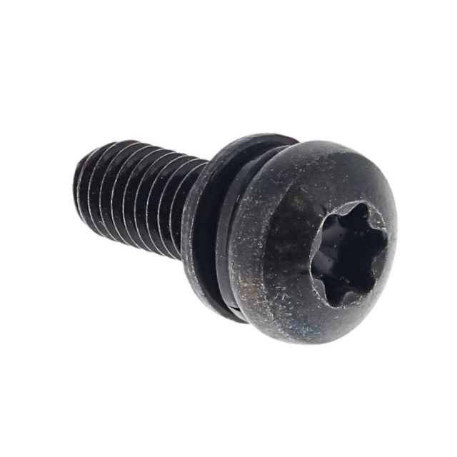 Tornillo M5X13Torx 5869028-01